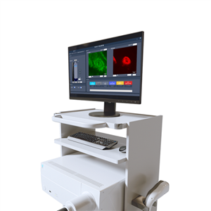 手持式双光子皮肤生物细胞成像仪
