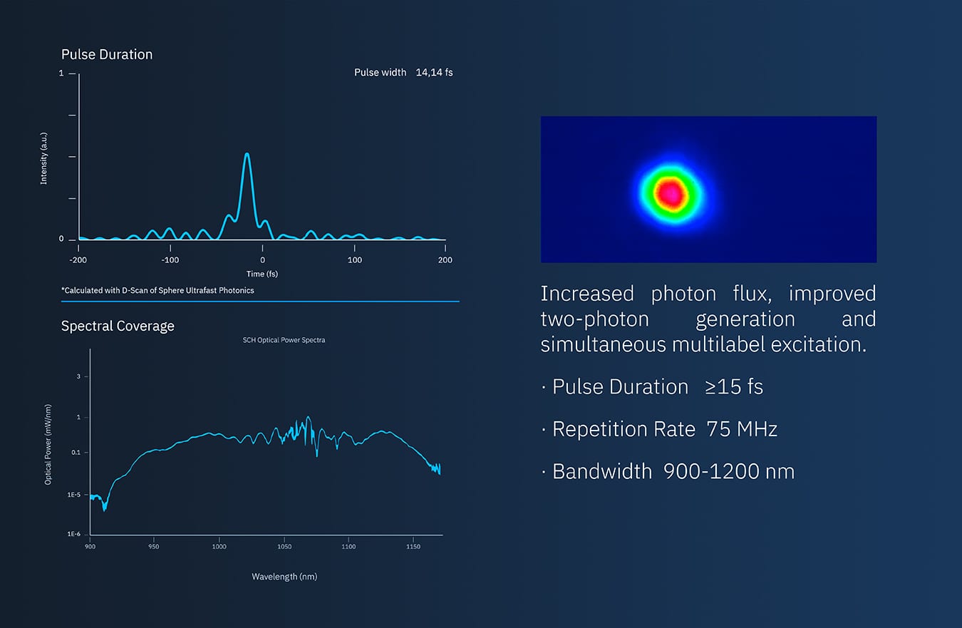 New Horizons in Two-Photon Microscopy