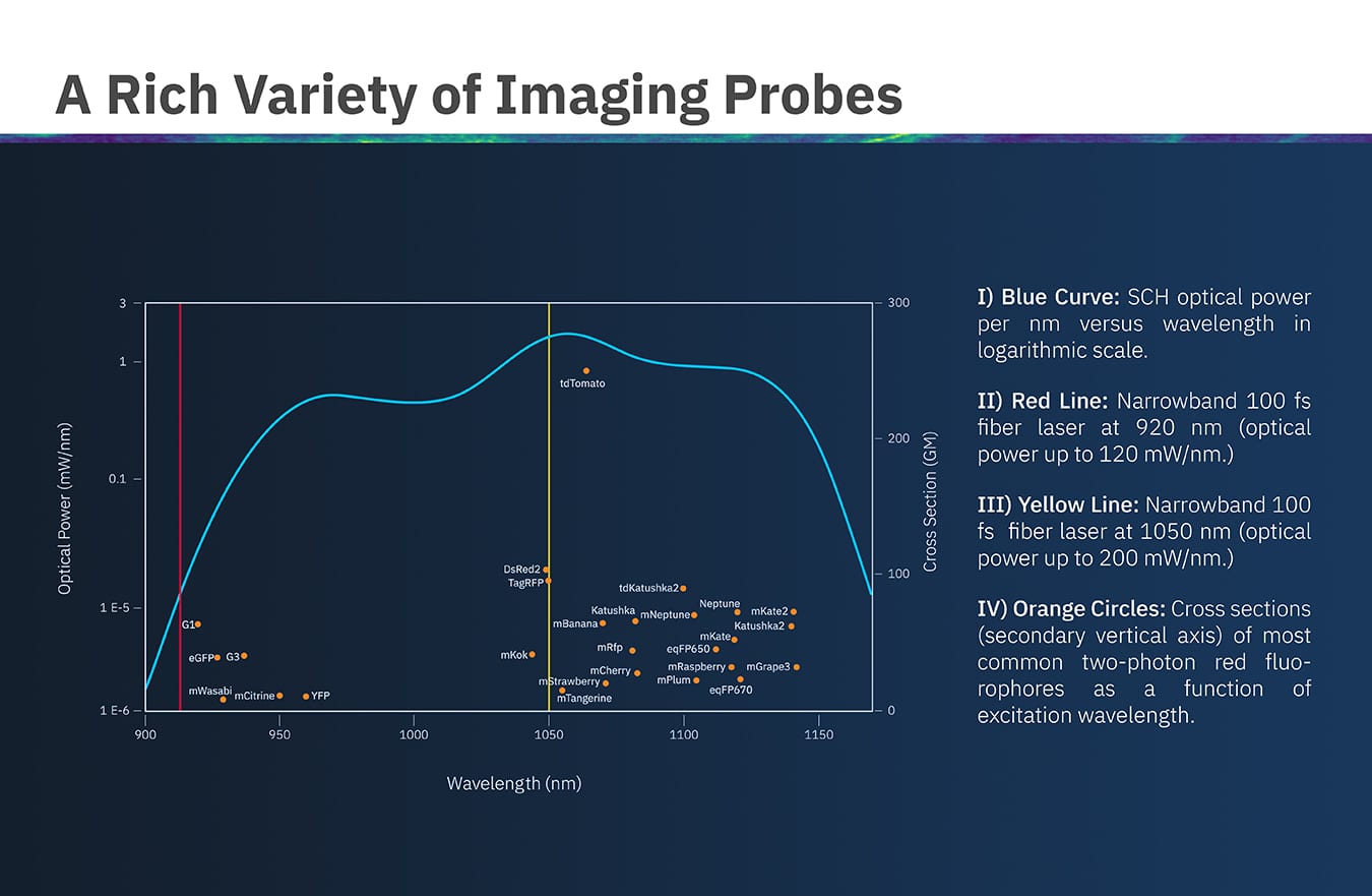 New Horizons in Two-Photon Microscopy