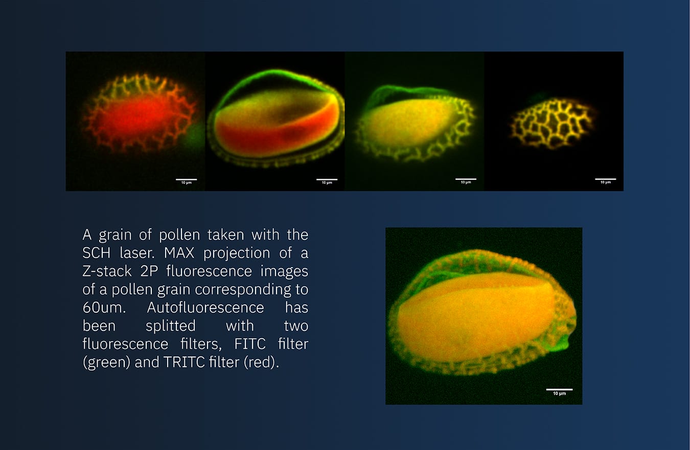 New Horizons in Two-Photon Microscopy