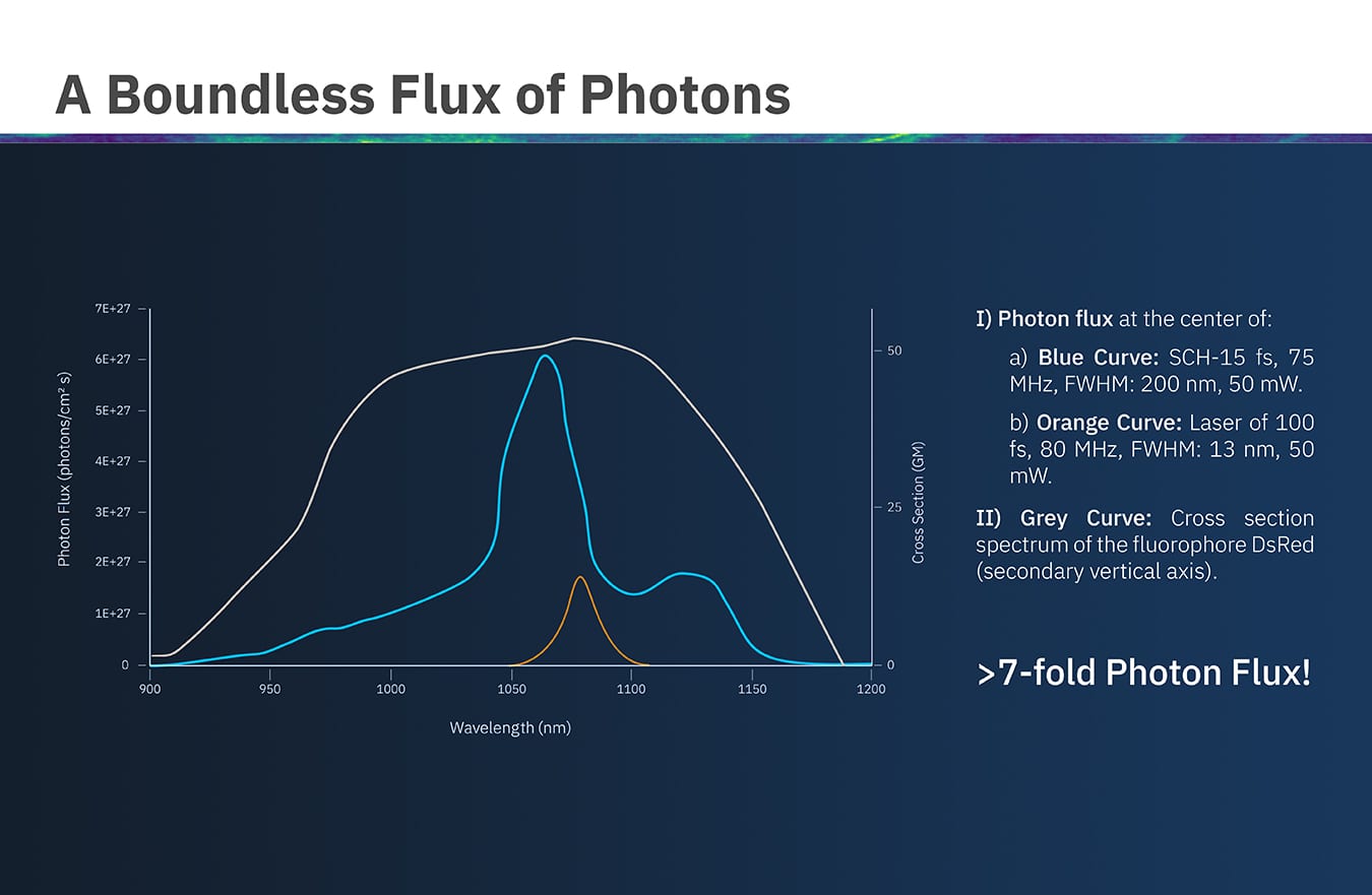 New Horizons in Two-Photon Microscopy