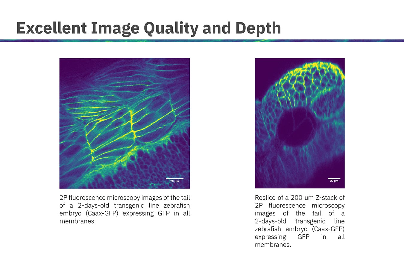 New Horizons in Two-Photon Microscopy