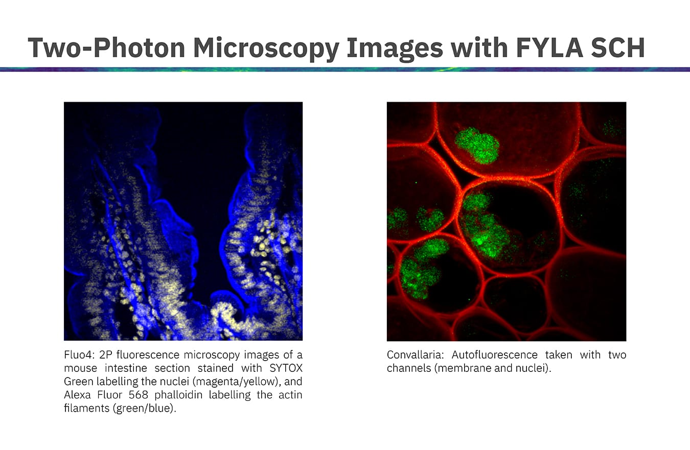 New Horizons in Two-Photon Microscopy